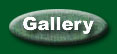 Photo Gallery